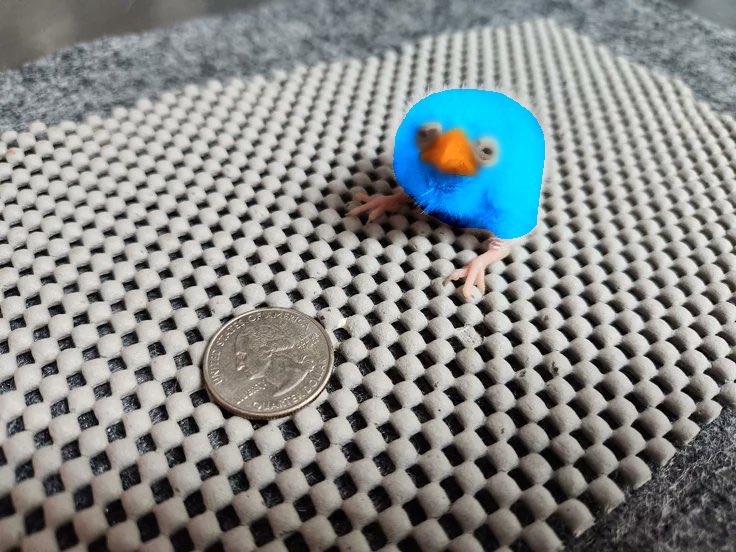 Bean_Centrals's tweet photo. @BlueQuacker Awww, look who can’t afford the Sayori Nendoroid. https://t.co/bqVIz8Yq5g