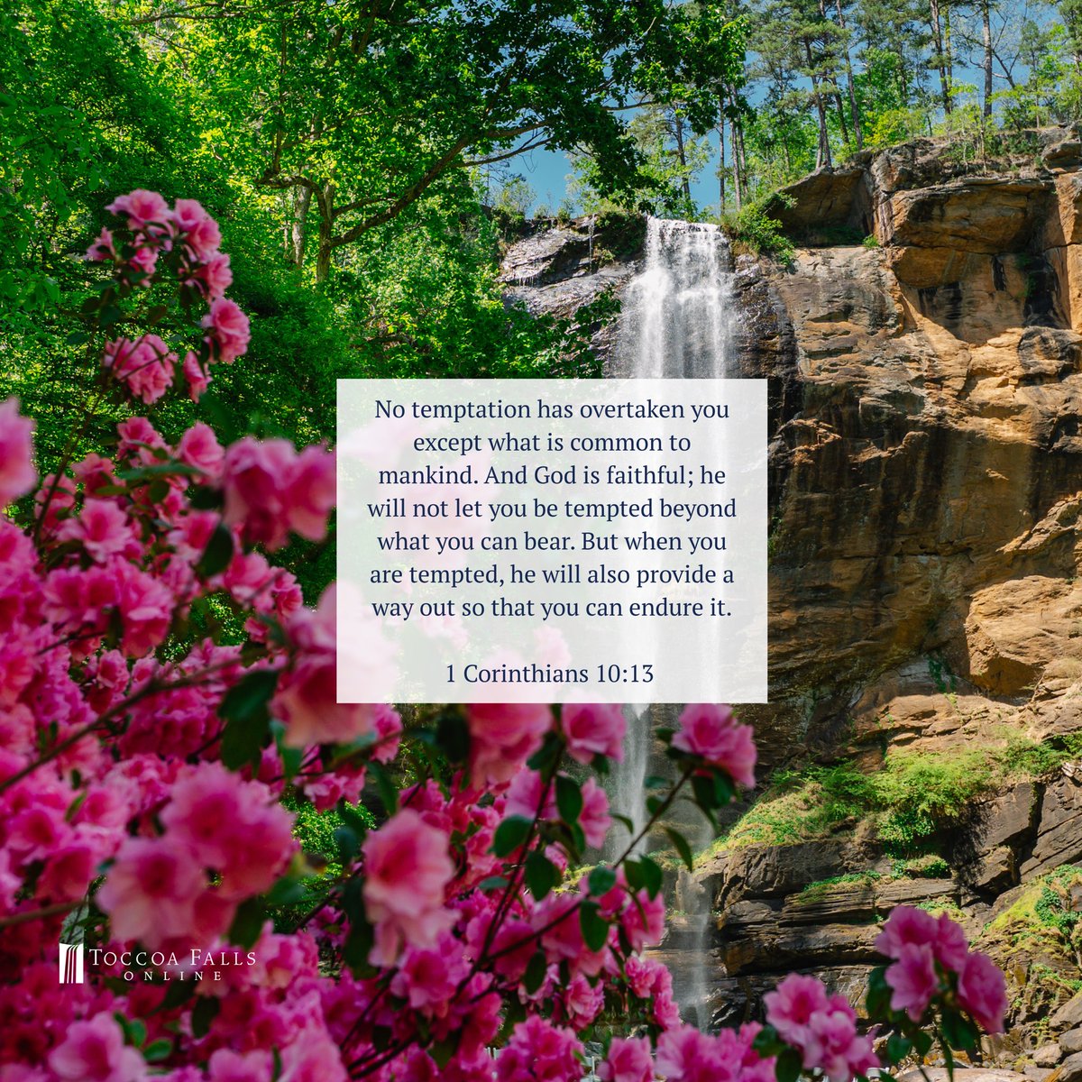 toccoaonline's tweet image. #tuesdaytruth 1 Corinthians 10:13 NIV