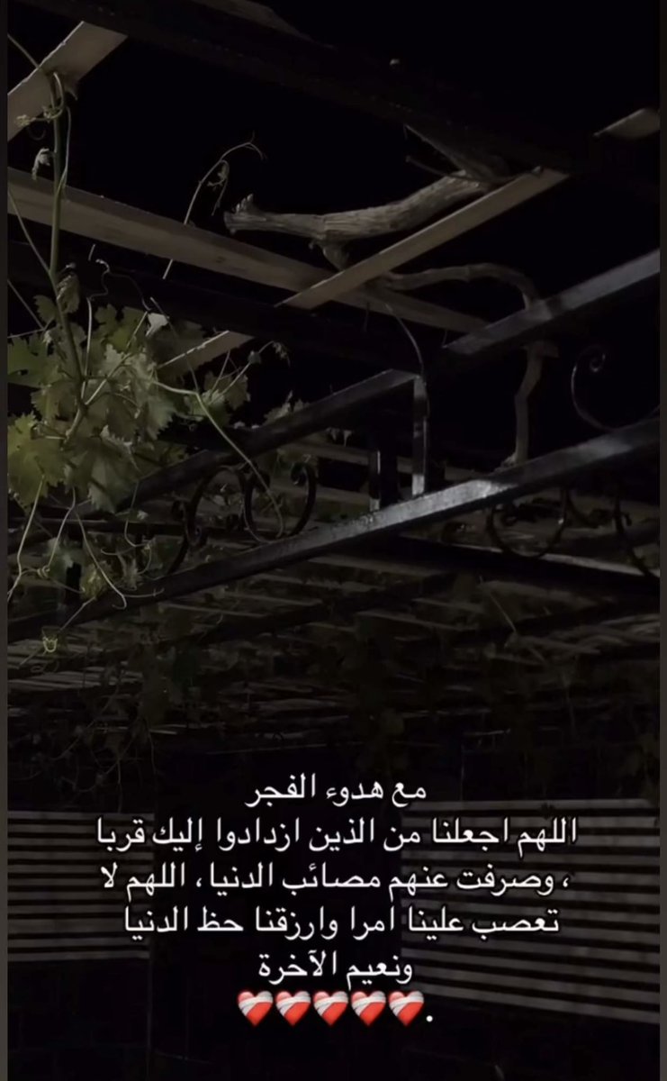 🦌🇦🇪M راعية العوايد tweet media