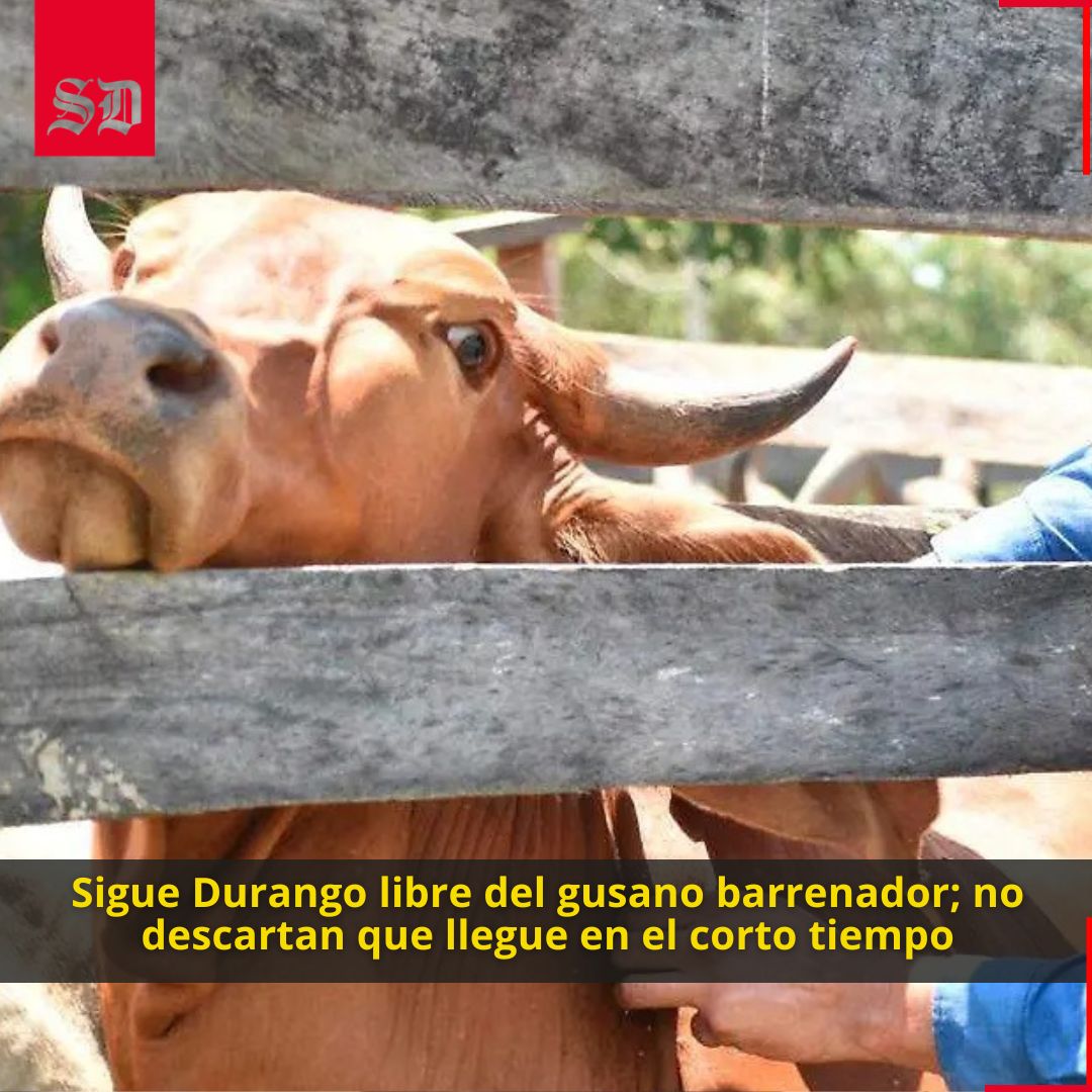 El Sol de Durango tweet media