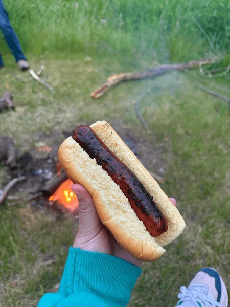 dodfacts's tweet photo. die of death fact: Devilware burnt his hot dog :( https://t.co/IB9B6xAP1k