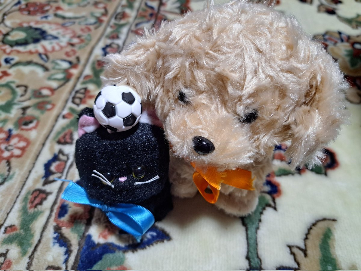 とっとろ♪ tweet media