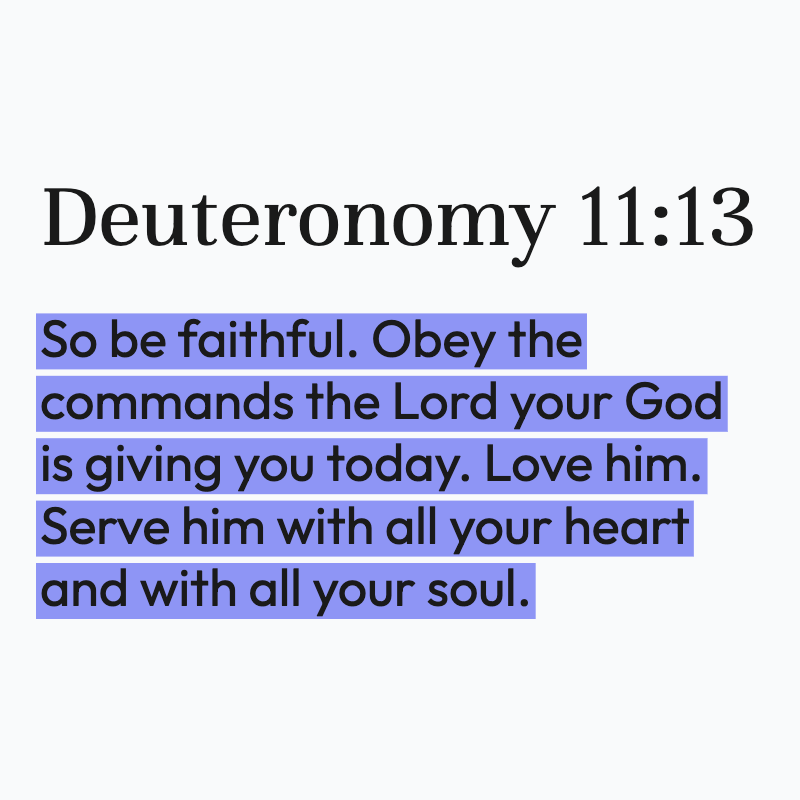 Biblical Advice tweet media