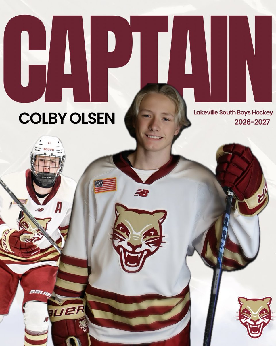 Lakeville South Boys High School Hockey tweet media