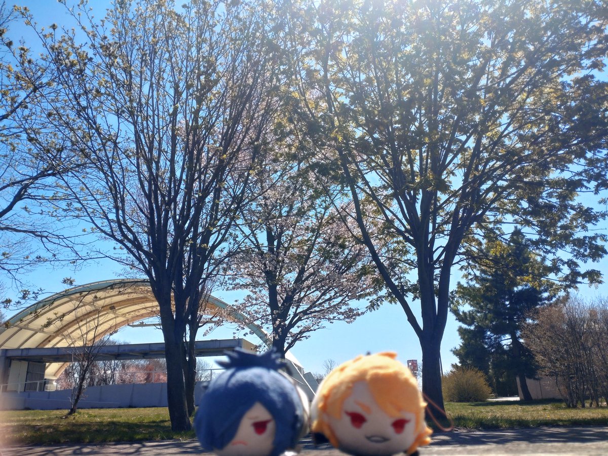しょーたん tweet media