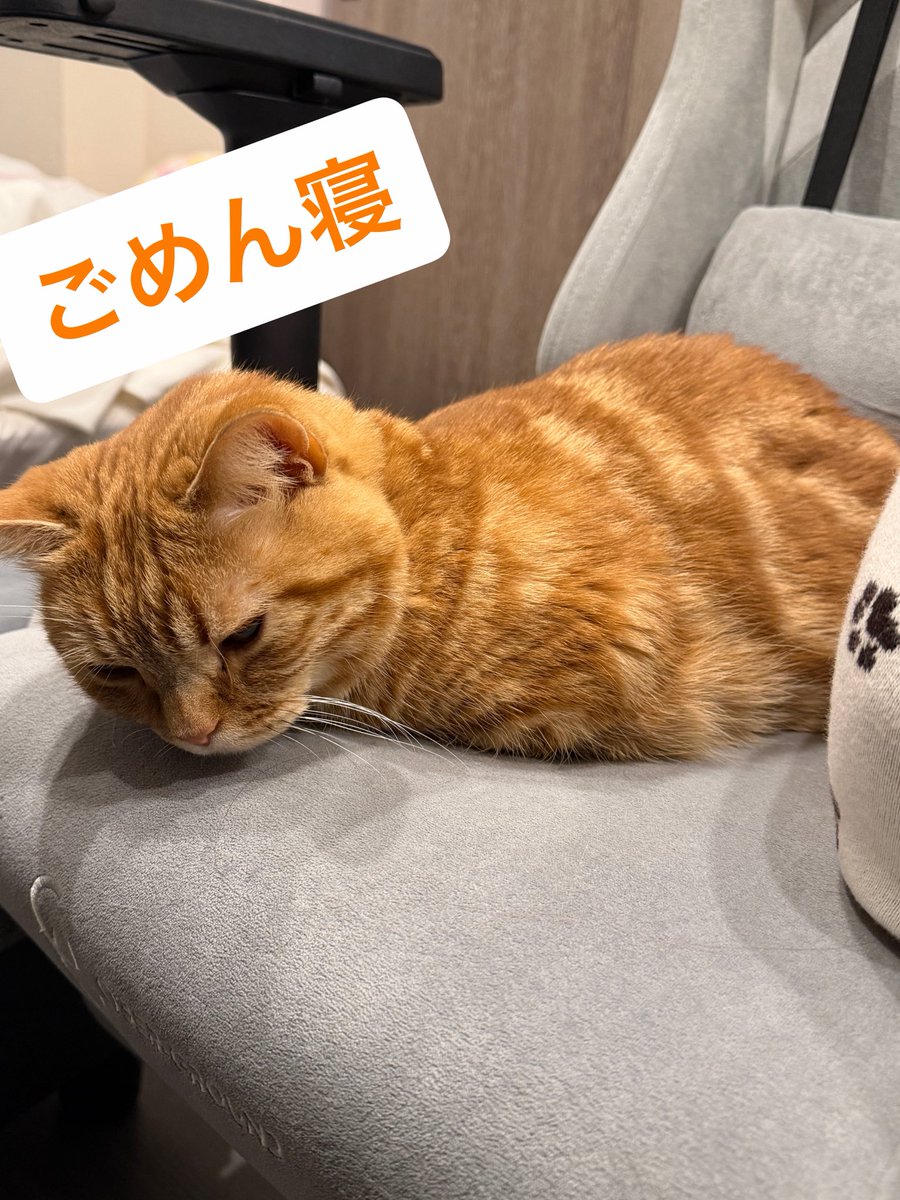 高見奈央(なおすけ) (@nao_takami1128) / Posts and Replies / X 高見奈央(なおすけ) (@nao_takami1128) / Posts and Replies / X