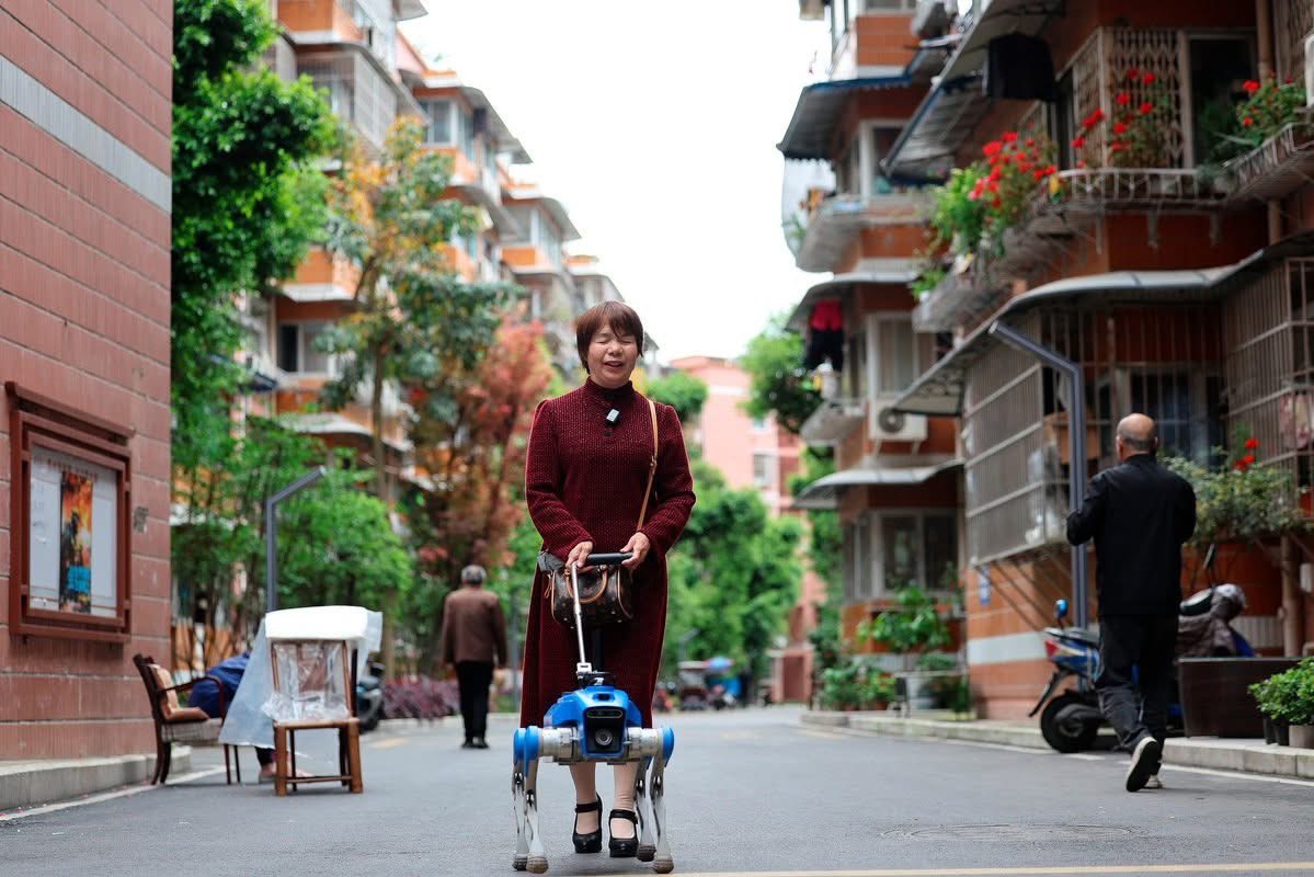 ShanghaiEye's tweet image. An intelligent guide #dog is assisting visually impaired people with daily travel in #Chengdu, southwest #China’s #Sichuan Province, as part of a trial of an all-terrain smart mobility solution designed to support everyday mobility across scenarios including commuting, shopping
