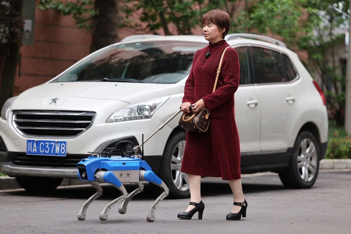 ShanghaiEye's tweet image. An intelligent guide #dog is assisting visually impaired people with daily travel in #Chengdu, southwest #China’s #Sichuan Province, as part of a trial of an all-terrain smart mobility solution designed to support everyday mobility across scenarios including commuting, shopping