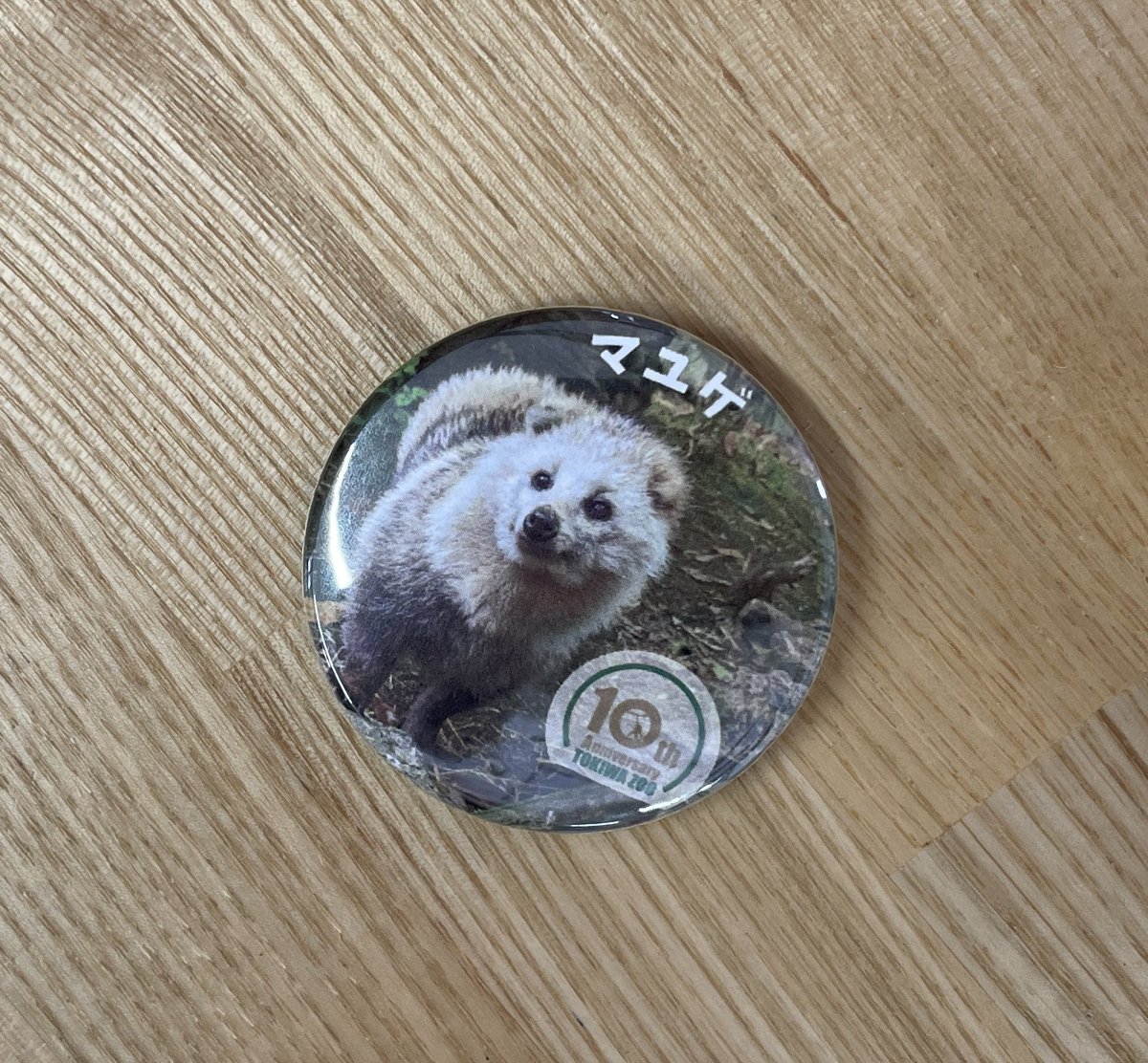 ときわ動物園（公式） tweet media