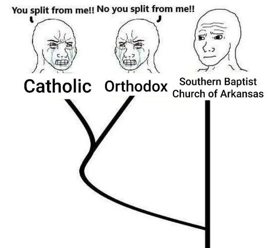 Baptocatholic tweet media