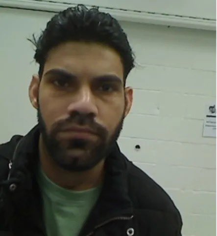 Libs of TikTok tweet media