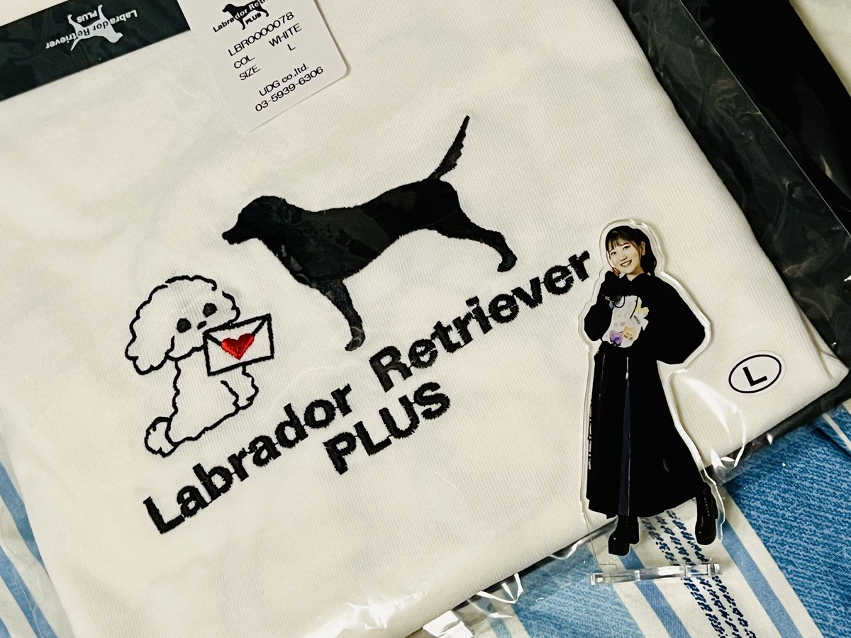 Roy_Q_'s tweet image. 可愛い〜〜〜✋🥰🤚