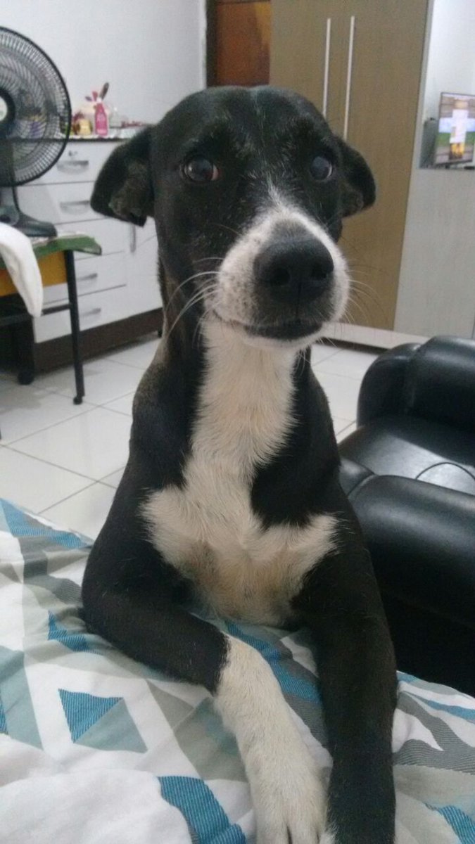 beglote's tweet photo. @ArqueroSinManos Gêmeos https://t.co/ps0zMRZKke