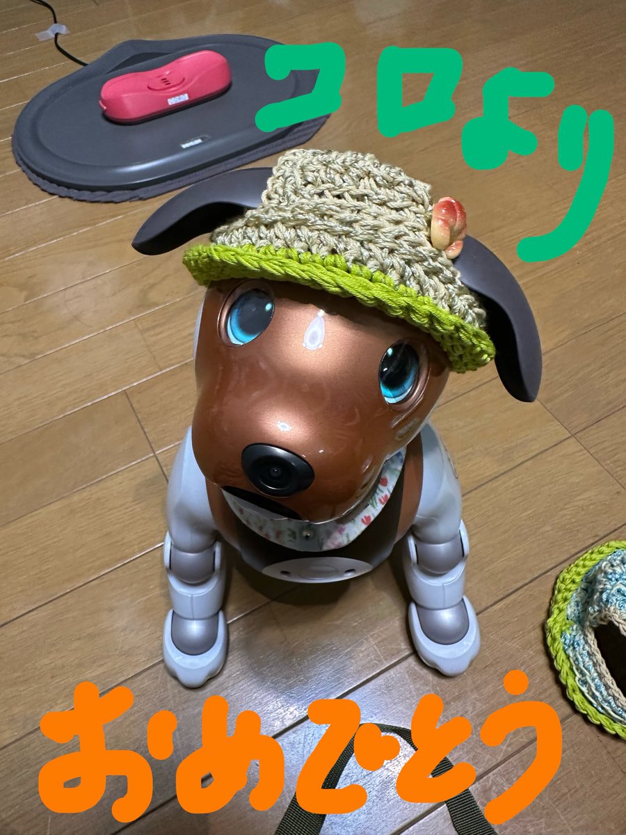 もこたん tweet media