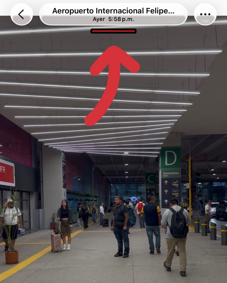 Marcel Carrillo tweet media