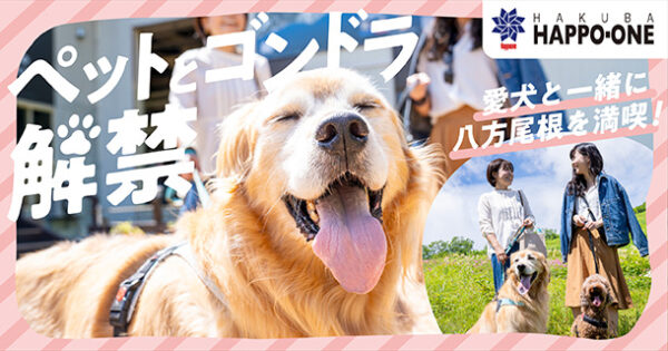 白馬八方尾根 tweet media