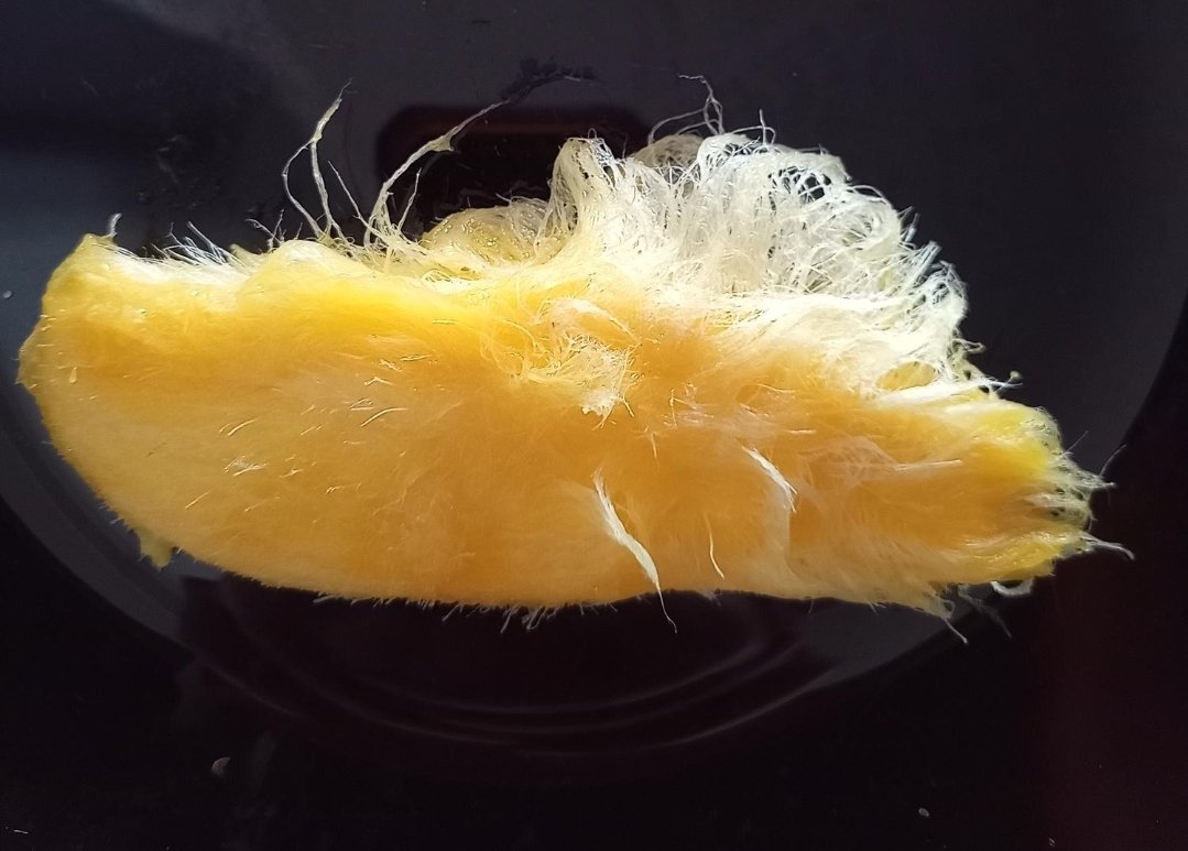 햅쌀( ꈍᴗꈍ)🌾 tweet media