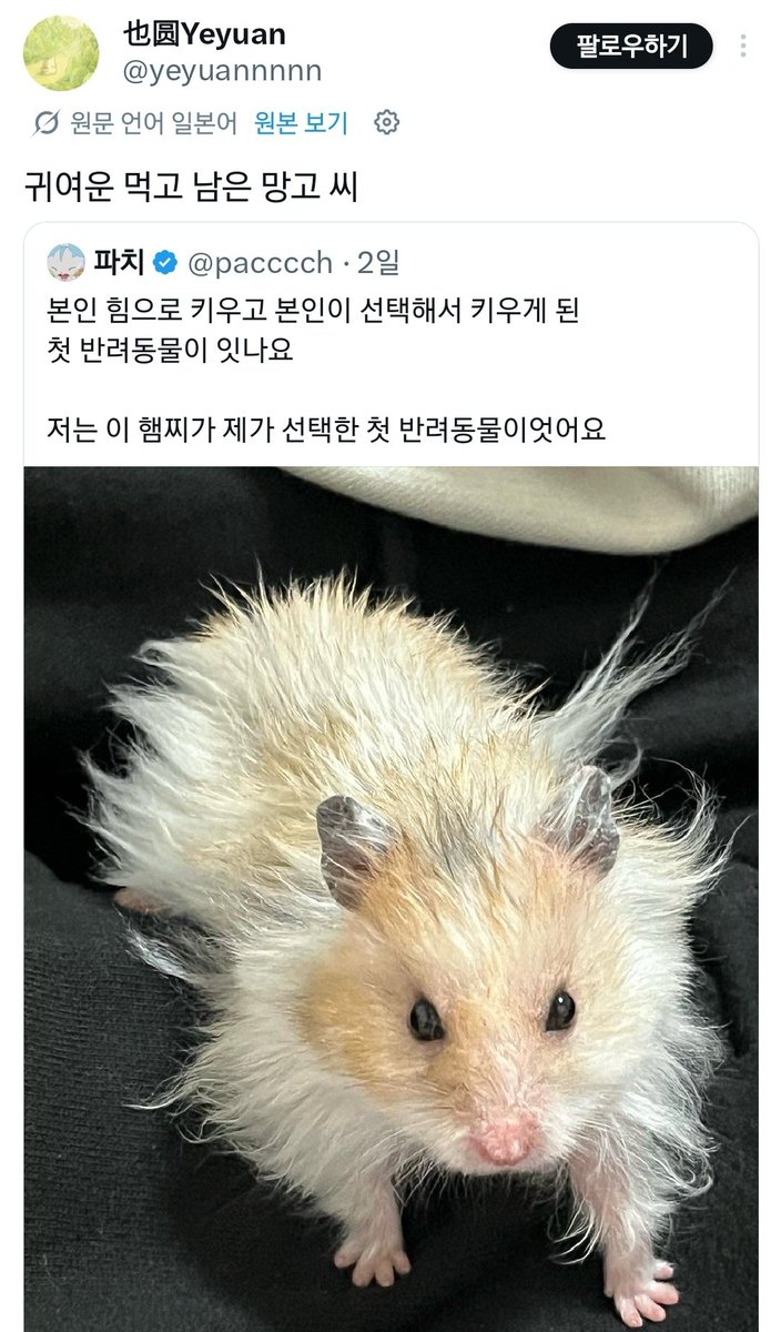 햅쌀( ꈍᴗꈍ)🌾 tweet media