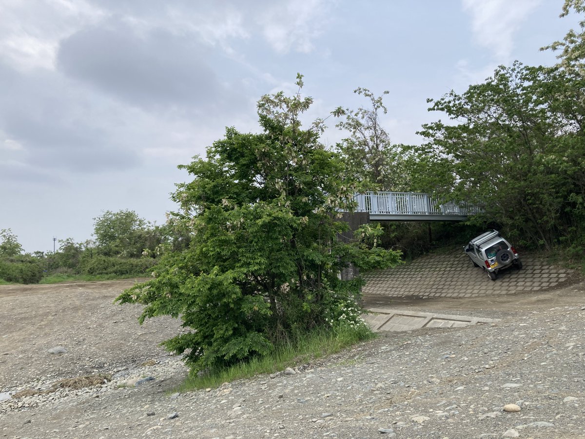 登戸ｼﾞｼﾞｨ tweet media