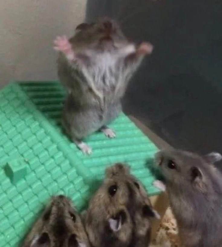 esme ★; sevEN & RIKCOVER. tweet media