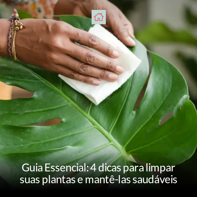 casacombr's tweet image. 🌱✨ Mantenha suas plantas saudáveis com estas 4 dicas infalíveis! Limpeza é a chave para um crescimento vigoroso. Remova a poeira, seque após regar e personalize os cuidados! Aprenda como garantir que suas 'filhas verdes' prosperem! #Jardinagem... mrf.lu/pnw2