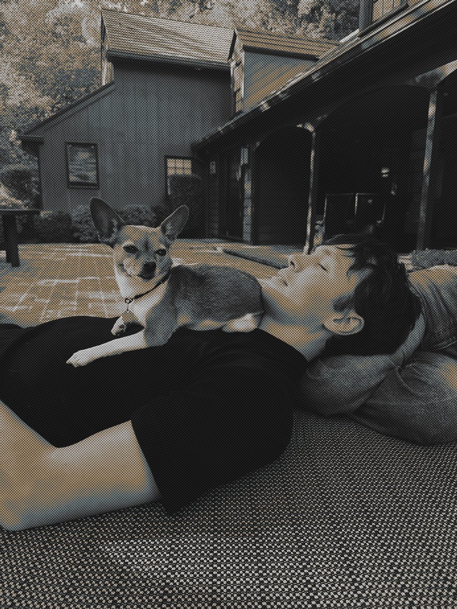 ‎ᅠ ‎۫ 𖥻ᅠ𝐀𝐋𝐁𝐎𝐍𝐎 ｡ tweet media