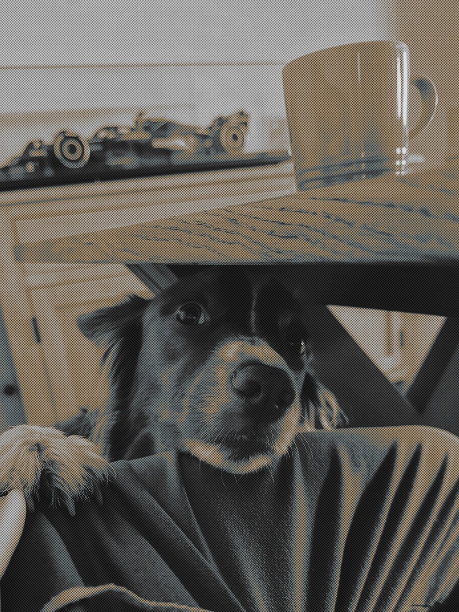 ‎ᅠ ‎۫ 𖥻ᅠ𝐀𝐋𝐁𝐎𝐍𝐎 ｡ tweet media