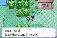 Digital_Sunlite's tweet photo. Career counselor in the pokemon world:

CC: "No offense, but you're already  too old to be a professional trainer. The world champion is 10."

Student: "Okay, so what are my options?"

CC: "With these test results? You'll be lucky to get hired to block the road for no reason." https://t.co/mIfxWF1PaS