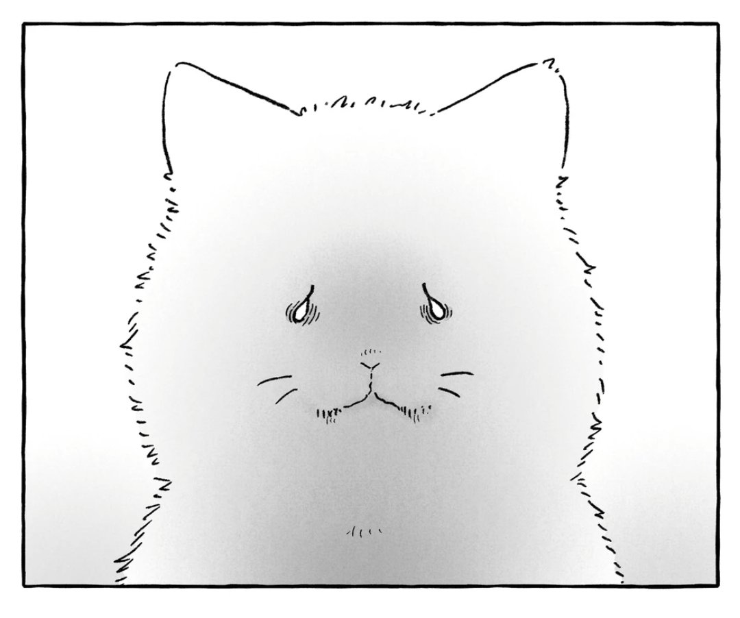 심야피플 tweet media