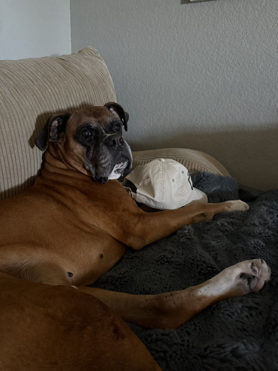 Honky Lips tweet media