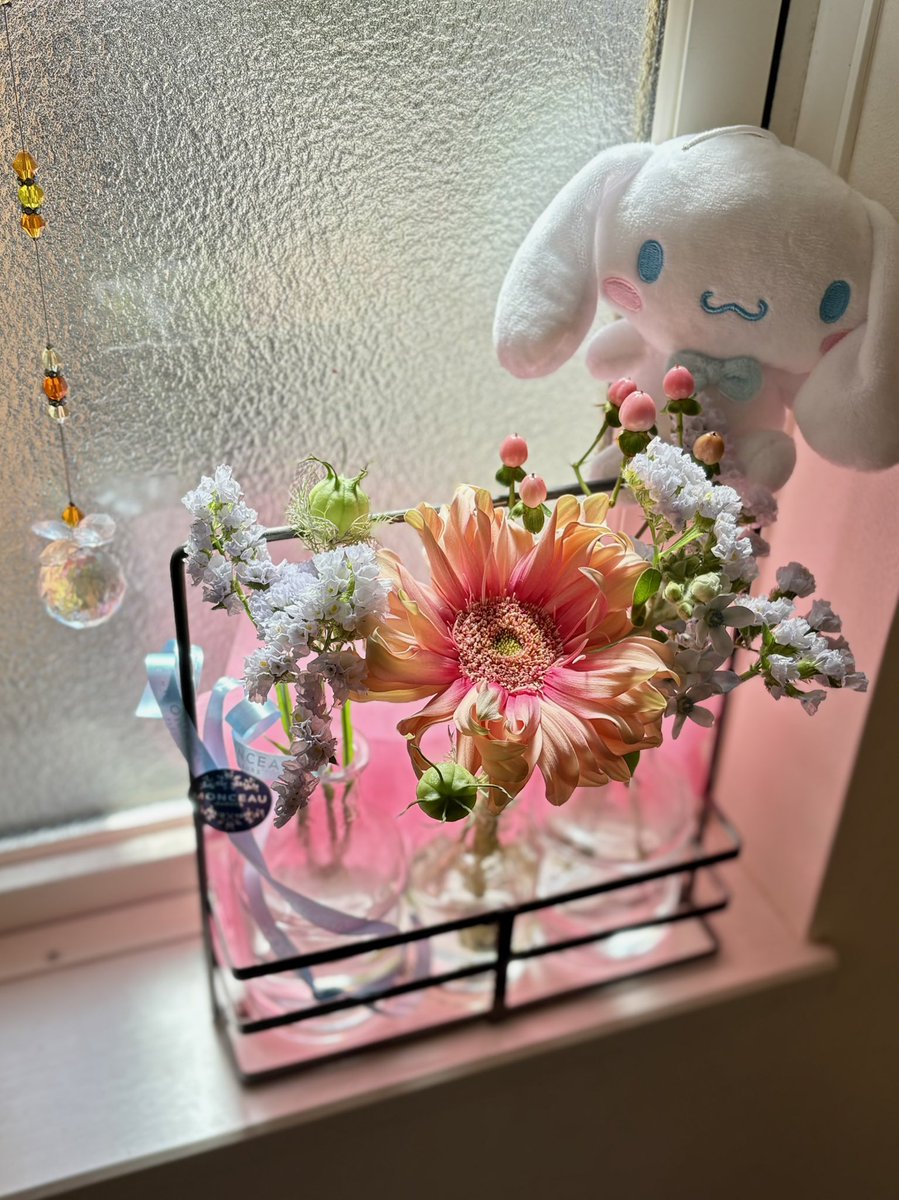 大船ランチガイド | ofuna.net tweet media