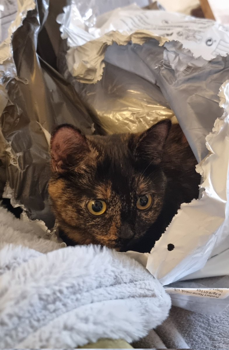 Karå 🇺🇦 tweet media