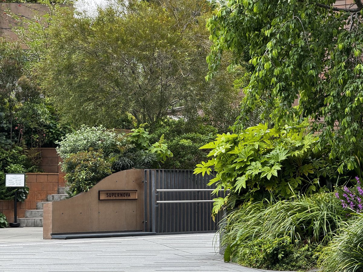 はせたん tweet media