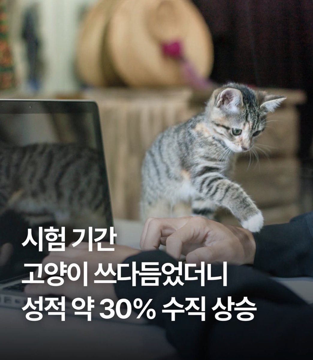 🐳 Noah 🌊 (@__your_text) on Twitter photo 