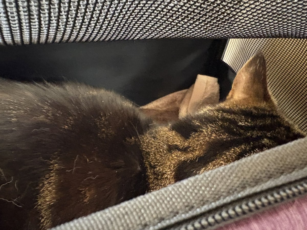 mikekomama tweet media