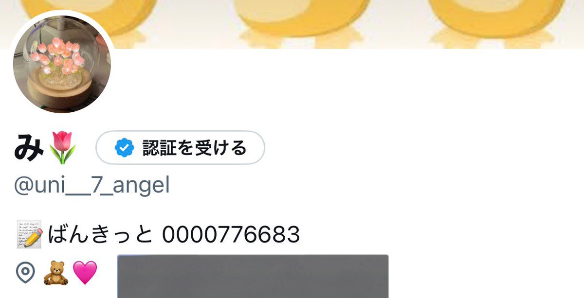 み🌷(避難用) tweet media