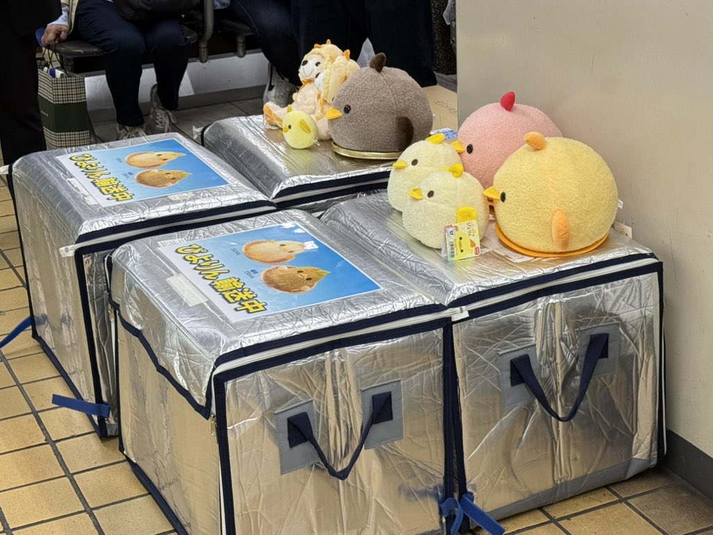 白衣鉄道🐥 tweet media