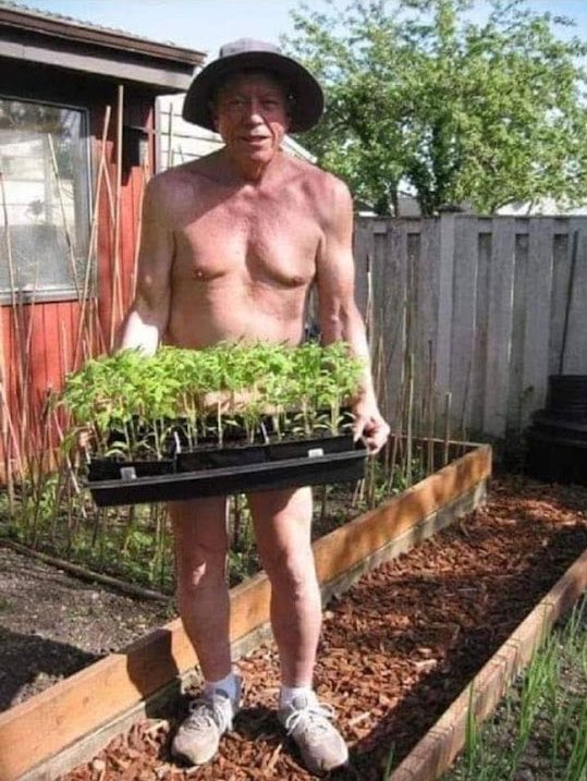 AgathaChocolats's tweet image. In six words or fewer, write a story about this photo.
#sixwordstory #WritingCommmunity