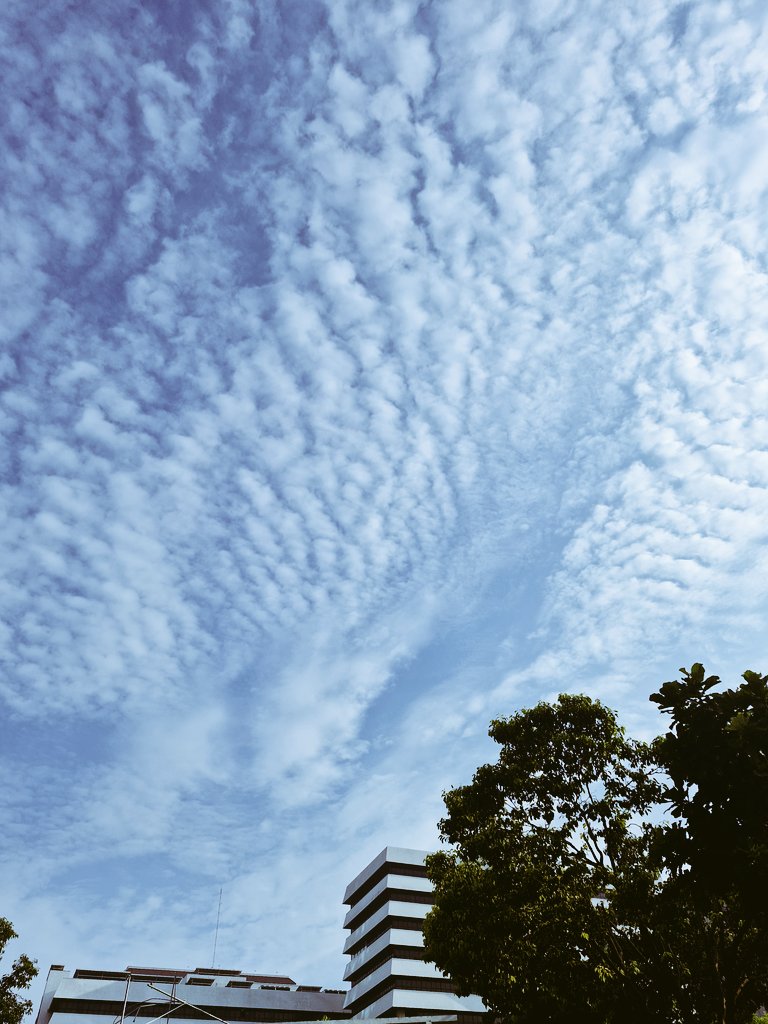 Dadboddyowner tweet media