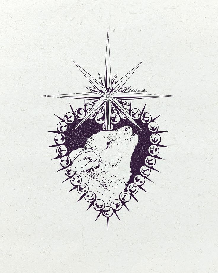 us⛸️ tweet media