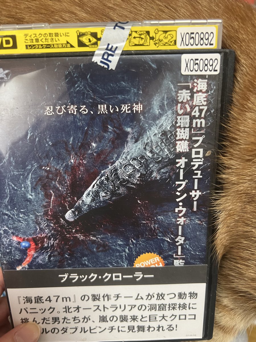 あまるん(白夜流凪)Byakuya Luna tweet media