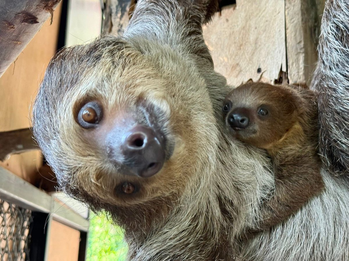 Khamoo.andthegang tweet media