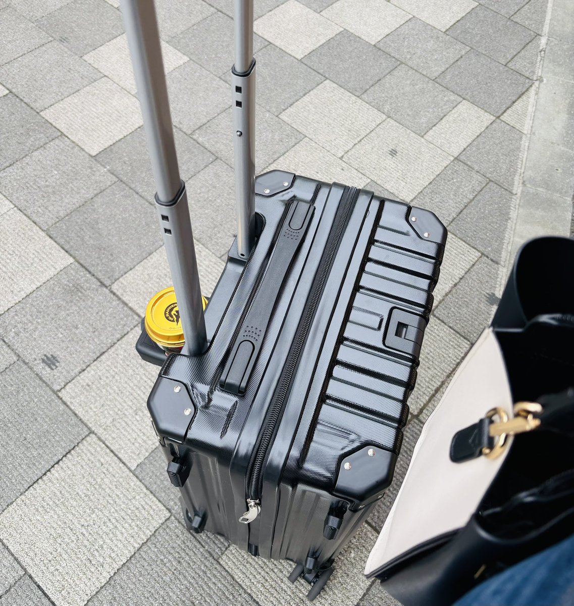 🐼💜🐈‍⬛ tweet media