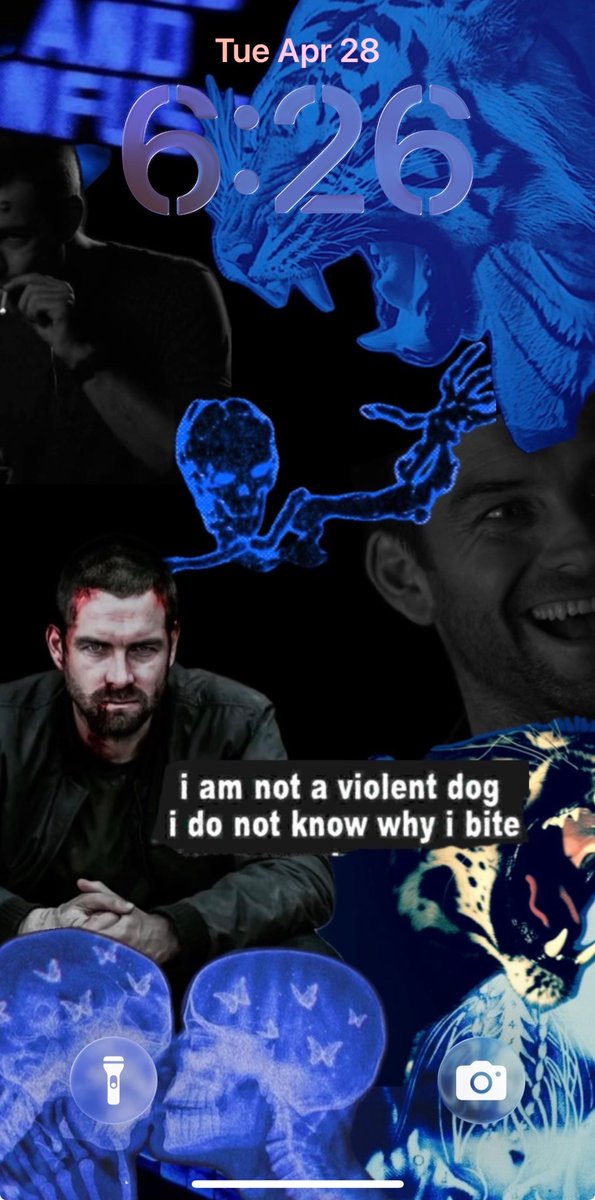 🪐Finnegan🏳️‍⚧️ tweet media