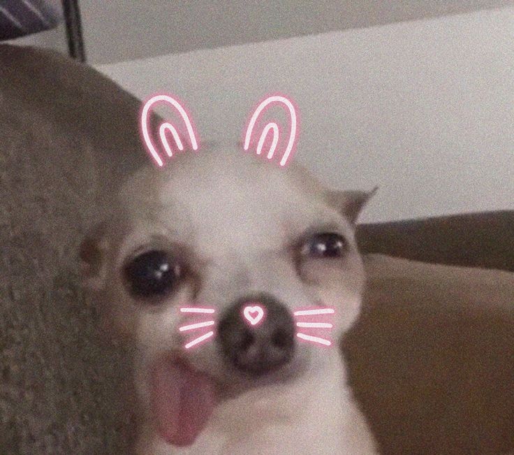 TIMETABLE ⁉️ tweet media