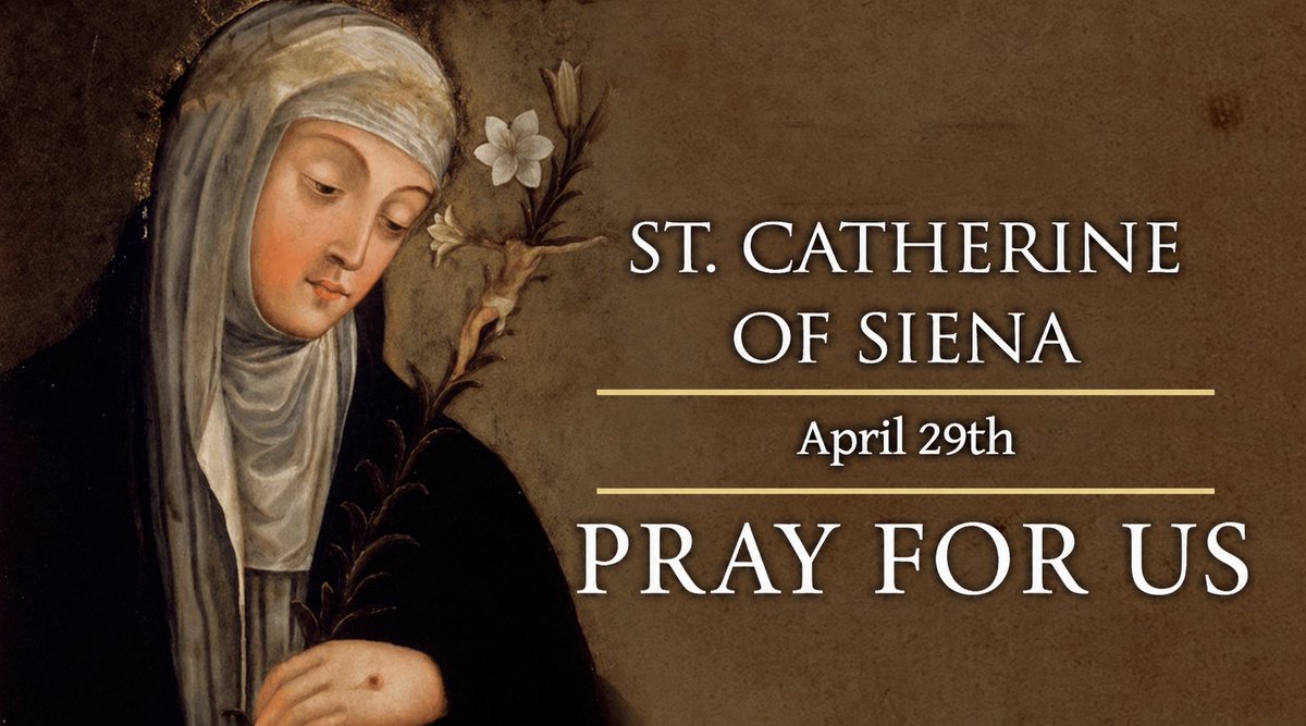 Friar Mario Conte tweet media