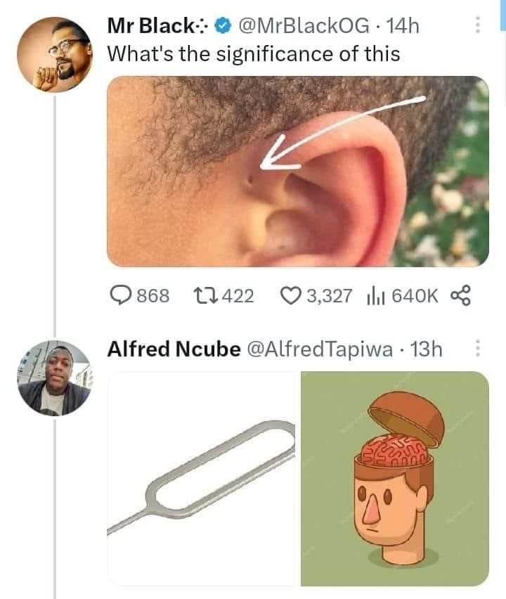 dinosaur tweet media