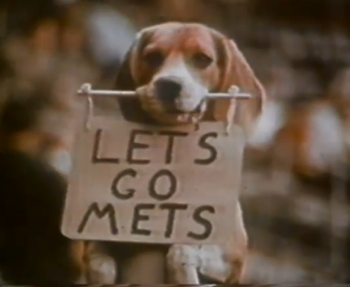 FormerDirtDart's tweet image. 2⃣

WSH  0⃣
NYM  8⃣

#LGM 🇰 🇰 🇰 🇰 🇰 🇰 + 🇰 🇰 + 🇰 🇰
#LetsGoMets 🍎🍎
#Mets