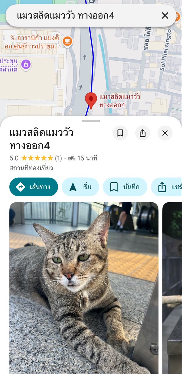 lumai tweet media