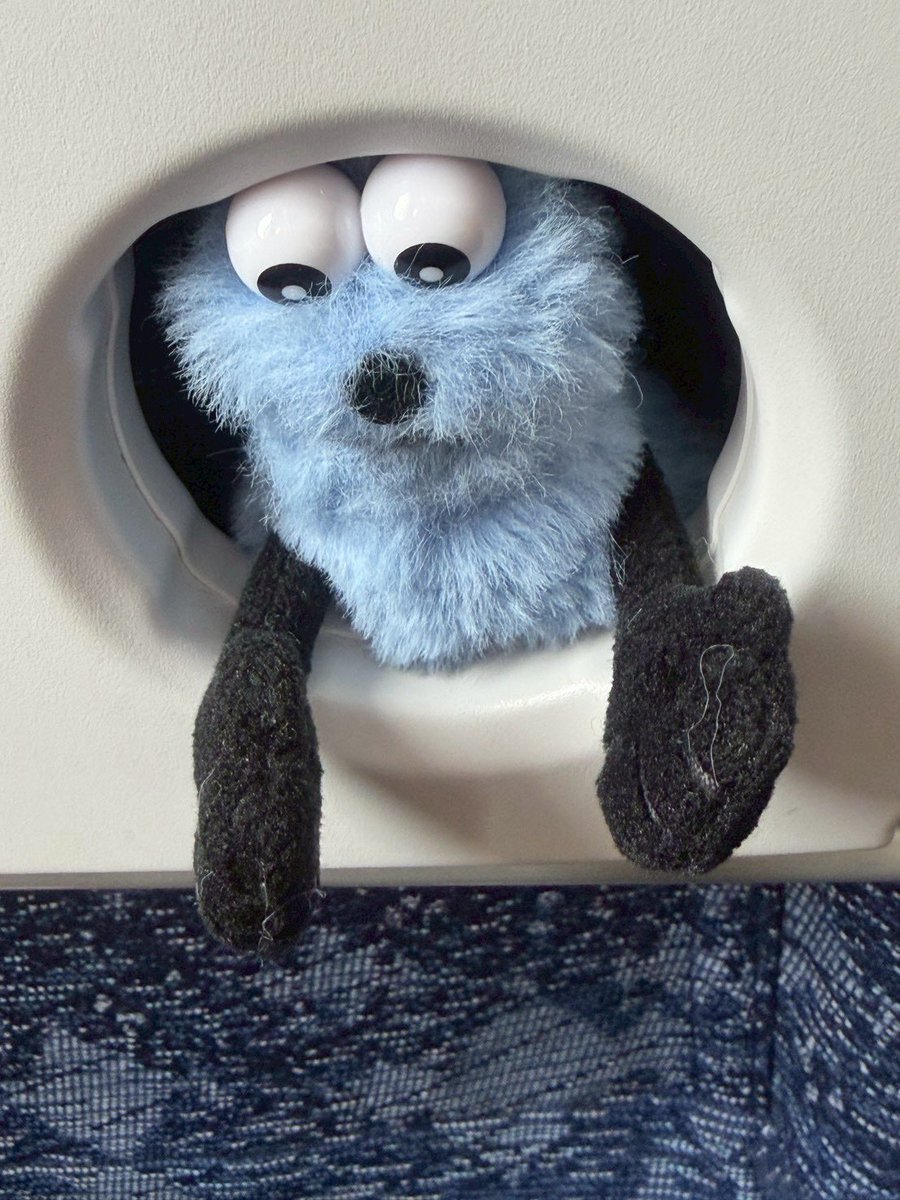 うまスン🥐 tweet media